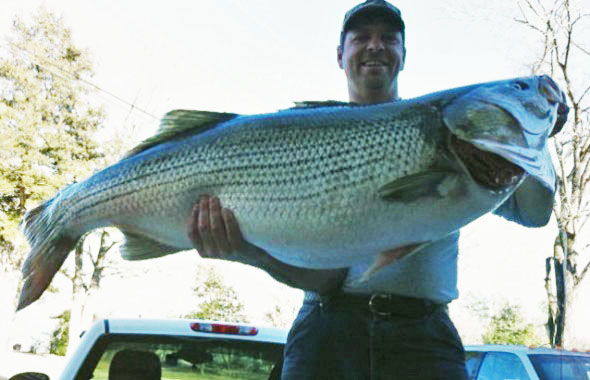 Rodney Ply with his pending world record striped bass