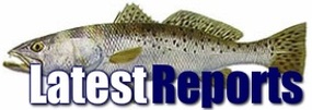 Latest fishing reports from www.northshorefishingreport.com