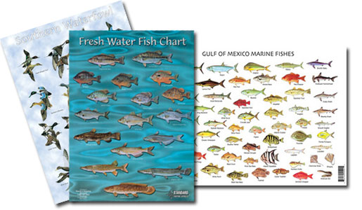 Wildlife Identification Charts