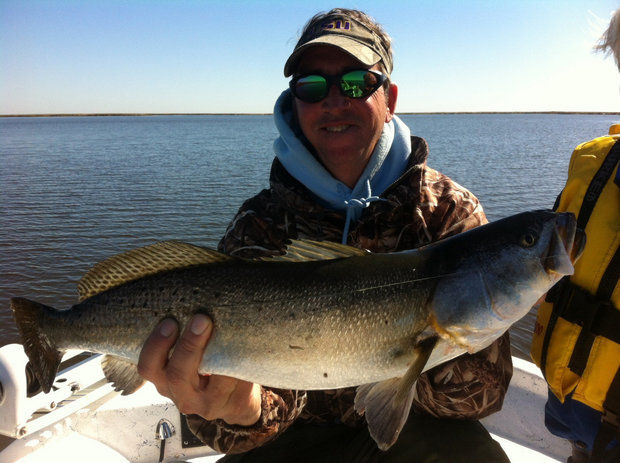 giant-speckled-trout 