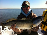 giant-speckled-trout