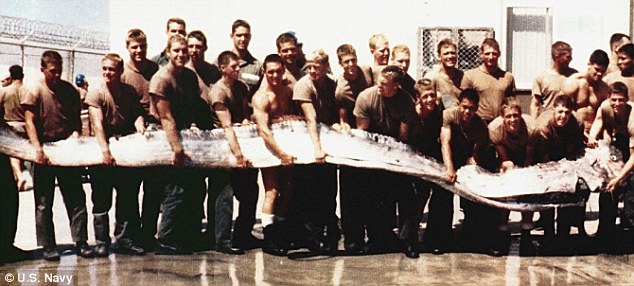 Navy Seals display a 23-foot giant oarfish
