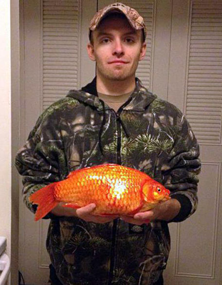 Mike Martin with his giant goldfish from Lake St. Clair