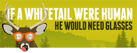 If a whitetail were human,   would it need glases?