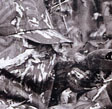 Turkey Hunting camoflage